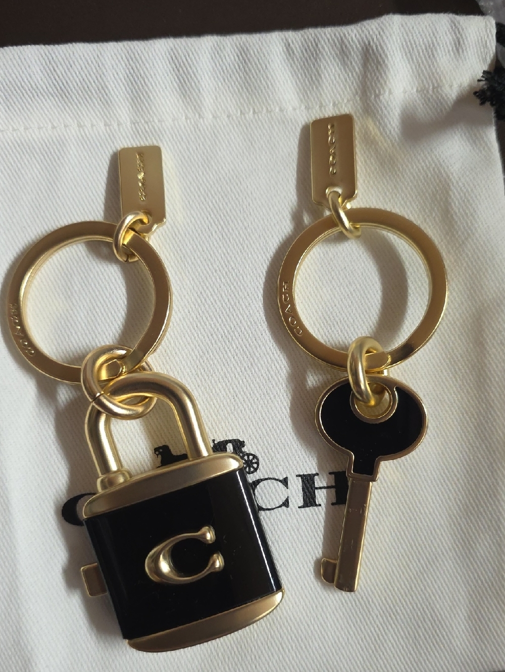 Coach 2 Pc. Padlock & Key Keyrings New W/ Dusty - Picture 9 of 9
